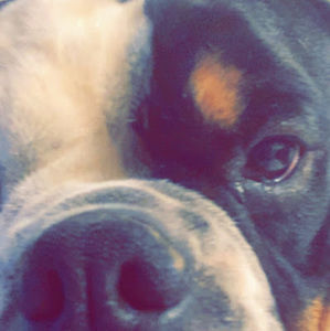 Meet your Posher, Azia